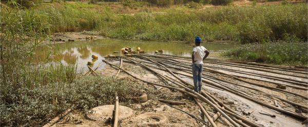 Des dizaines de tuyaux reliés à des motopompes vident progressivement la nappe phréatique de Darou Khoudoss (Sénégal). A ce rythme, l'eau risque de manquer d'ici 20 ans © R. Belmin, Cirad